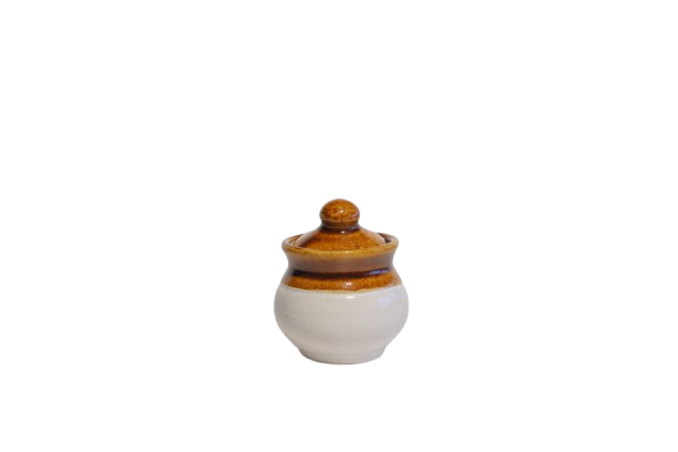 Vins Ceramic Pickle Jar and Salt Jar | 100 ml Set of 4 