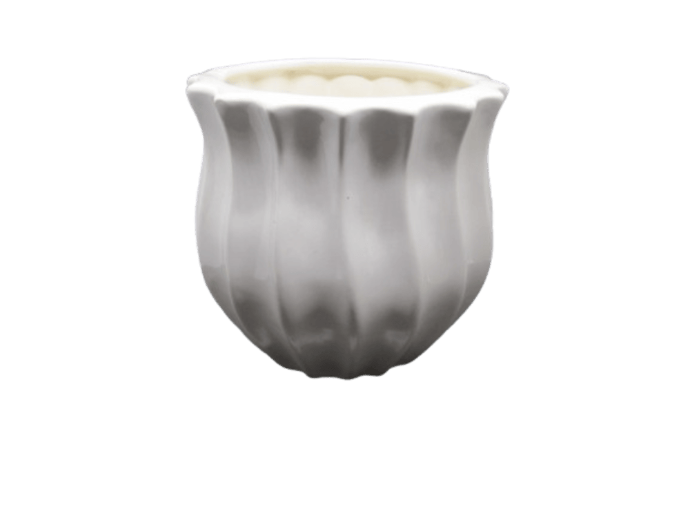 White Color Ceramic Plant Pot | Ceramic Planters | Indoor Plant Pot 