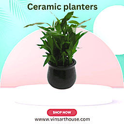 Black Color 3.5 Inch Home Decor Ceramic Planters 