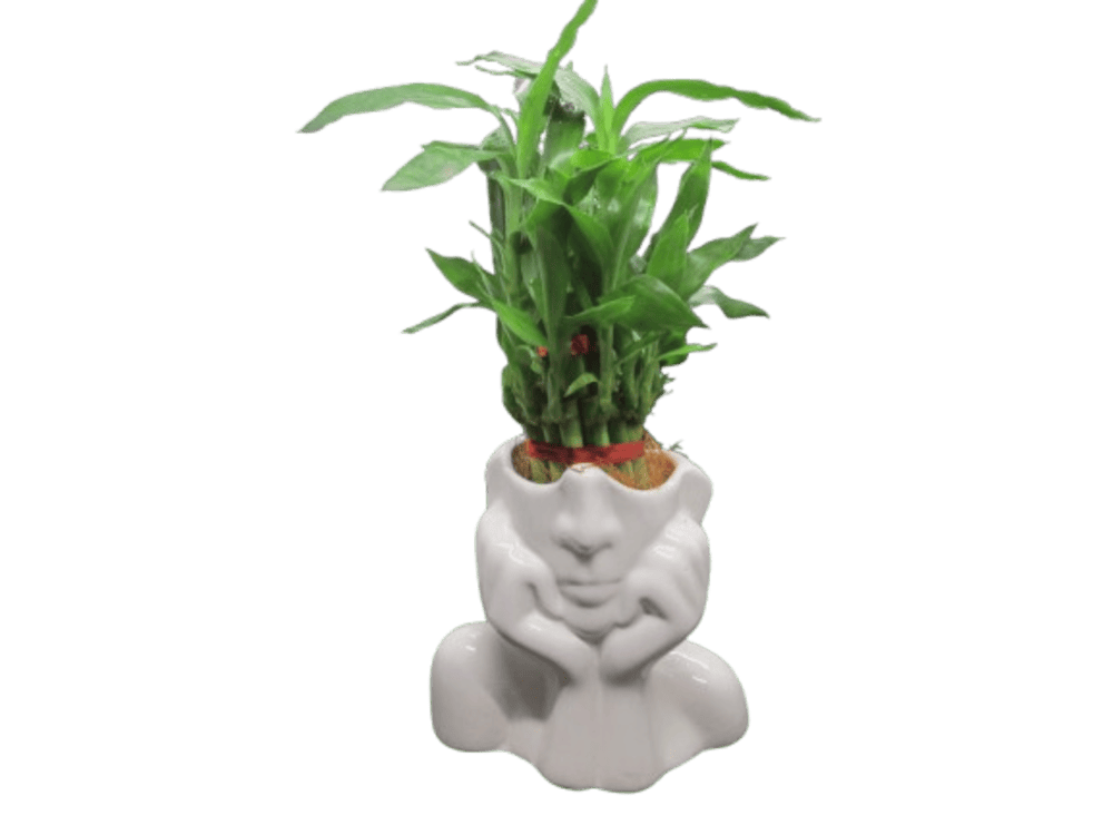 Decorative Ceramic Vase | White Face Flower Pot 6 inch