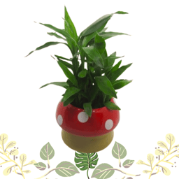  Mushroom Design Ceramic Plant Pot | Decorative Premium Container Flower Pot for Living Room | Kids Room | Bed Room | Hall | Kitchen | Gardening